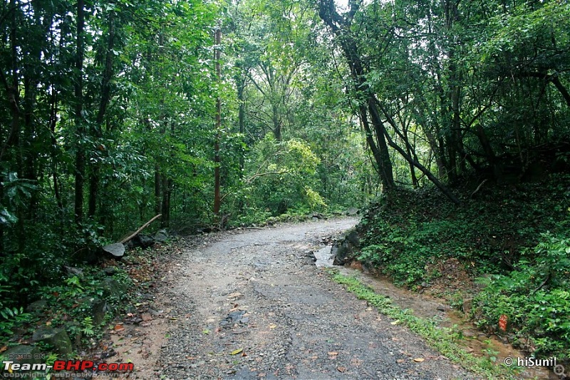 Masinagudi @ Ooty foothills and Kukke Subramanya-img_6273.jpg