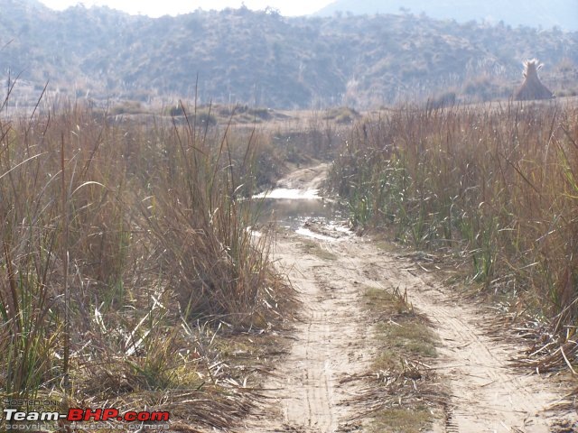 Took a Fortuner offroading through the outback-wildcat2.jpg