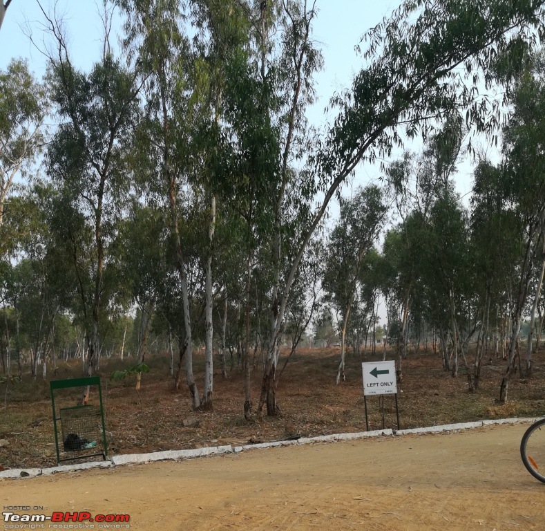 Cycling on a Sunday morning! Pala-Pitta Cycling Track, Hyderabad-8.jpg