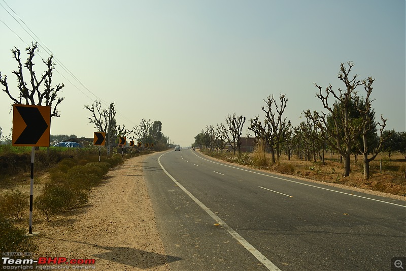 Rajasthan on a Bicycle-csc_0224.jpg