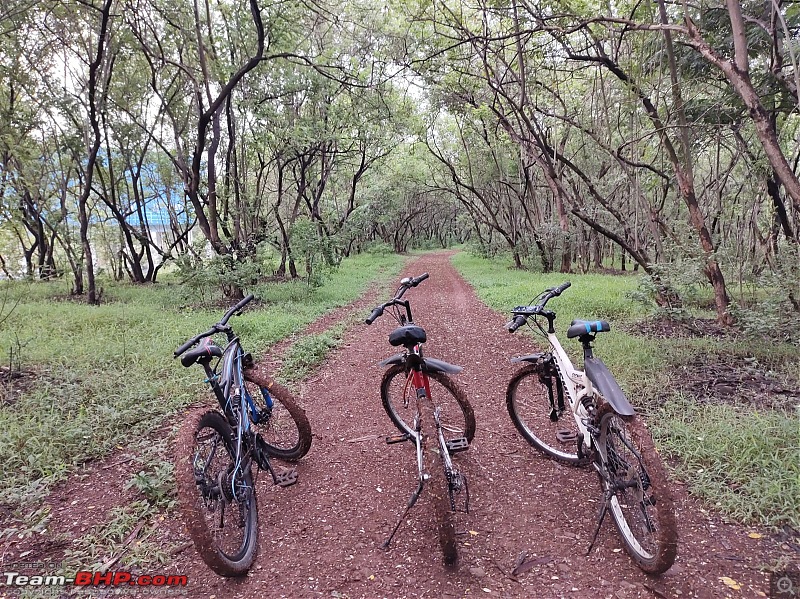 Post pictures of your Bicycle on day trips here!-4.jpeg