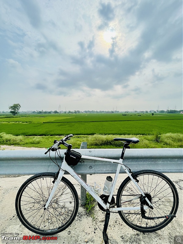 Post pictures of your Bicycle on day trips here!-67ad66f176f24a9e8ad72a7b4cea1296.jpeg
