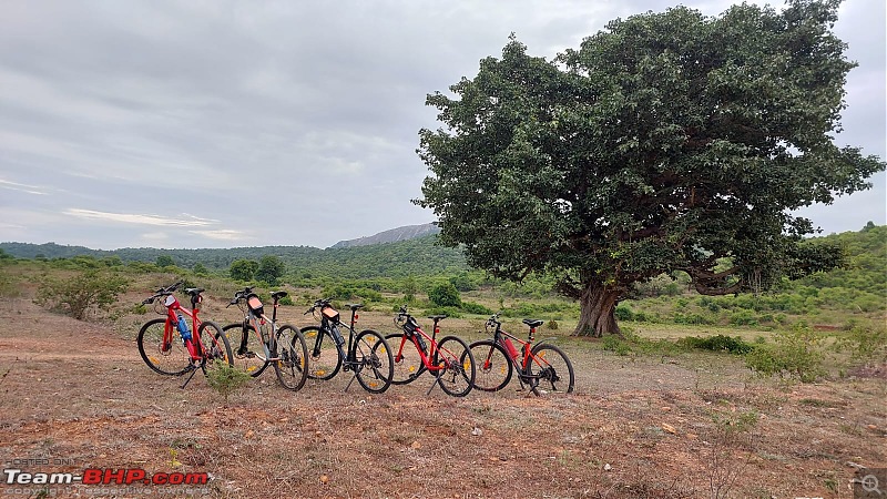 Firefox Bikes on X: Ride around your city like a pro with FIREFOX Road  Runner Pro D. An urban-adventure bike for cities, town pathways and open  countryside. Expand your horizons on one