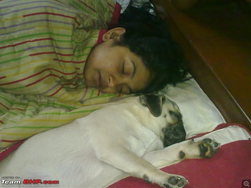 Team-BHPians and their Pets-6.jpg