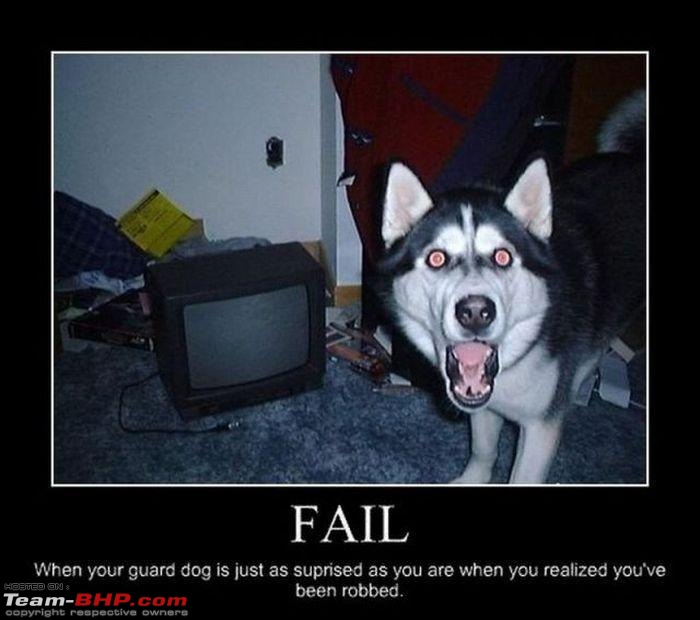 The Official Joke thread-fail-dog.jpg