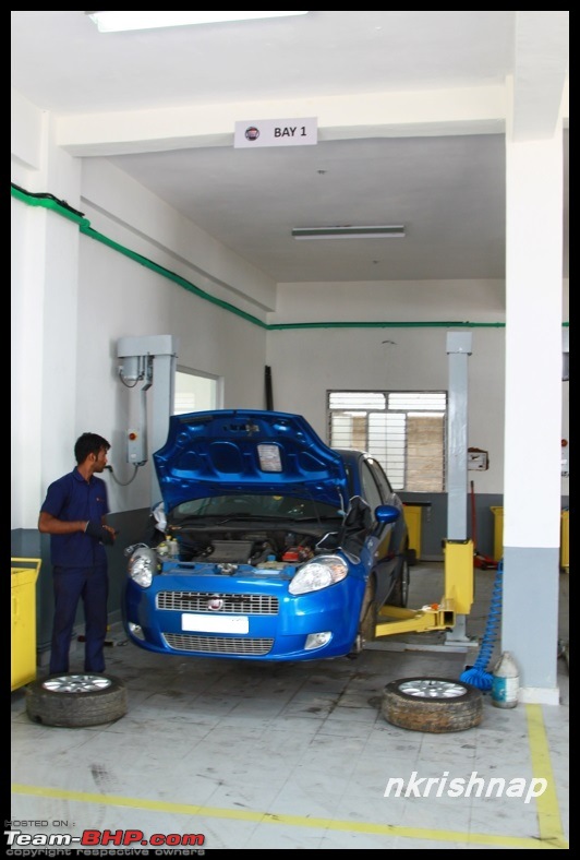 Vecto Motors, Bangalore, FIAT Exclusive Dealership-img_1253.jpg