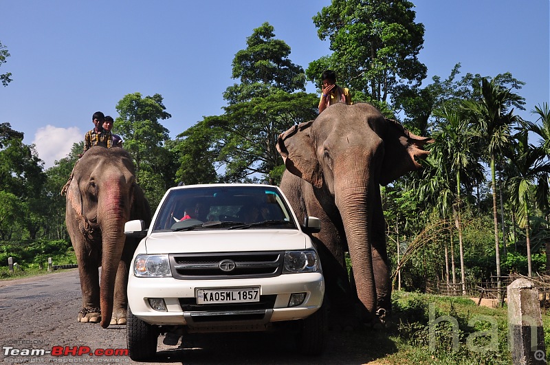 Tata Safari Dicor discontinued. EDIT: Indica & Indigo websites back up-dsc_2454.jpg