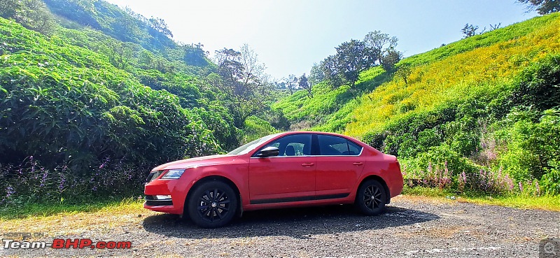 Skoda achieves milestone of 1 lakh Octavia deliveries in India-1e42b5386ede4e5385052be3803e89c8.jpeg