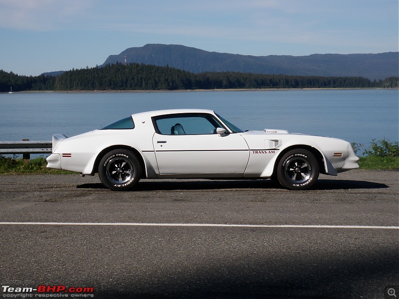 Fun with my dream | 1977 Pontiac Firebird T/A-fuel-fun.jpg