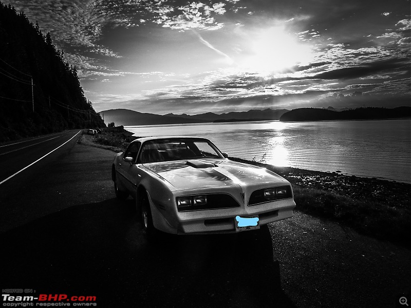 Fun with my dream | 1977 Pontiac Firebird T/A-drive.jpg