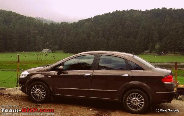 Crusoe Chronicles: Eleven years with a Fiat Linea TJet+-1536757_3998765241622_751969989_n.jpg