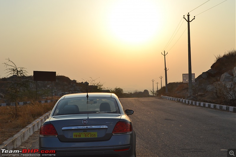 My 2014 Grey Fiat Linea 1.3L MJD-view-3-into-sun.jpg