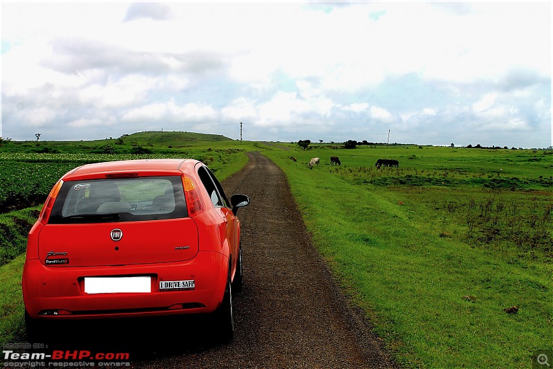 'The Red' is home: Fiat Punto 1.3 MJD Dynamic. EDIT: 93,000 km up!-img_0071-large.jpg