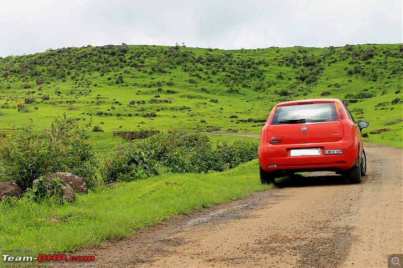 'The Red' is home: Fiat Punto 1.3 MJD Dynamic. EDIT: 93,000 km up!-img_0147-large.jpg