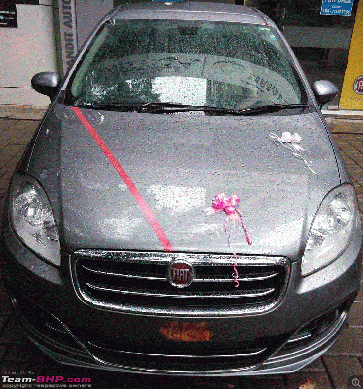 My 2014 Grey Fiat Linea 1.3L MJD-car.gif