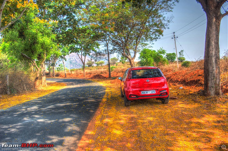 Bellissa - Fiat Punto Evo 1.4 ownership review - 4 year / 50,000 km completed-hdr4.jpg