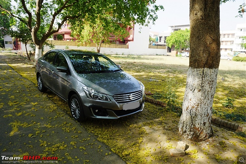 Maruti Ciaz ZDi+ SHVS - Ownership Review at 60,000 km!-dsc00215.jpg