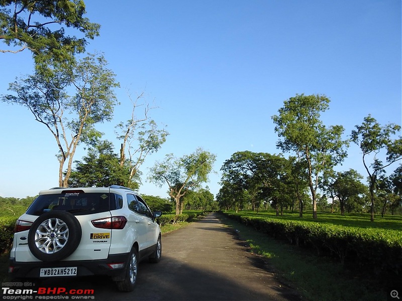 The story of Baahon, my Ford EcoSport 1.5 TDCi | EDIT: 180,000 km service update-ca23f22d36a849899915996010042ce5.jpeg