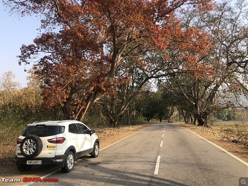 The story of Baahon, my Ford EcoSport 1.5 TDCi | EDIT: 180,000 km service update-fe35bb3ff6e54af69ab7ccfa4bbb2524.jpeg