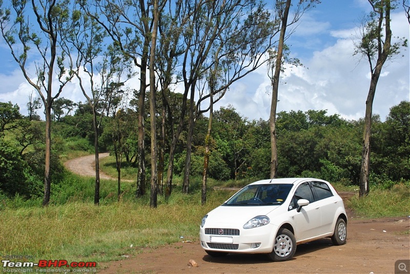 FIAT-Ferrari in affordable trim - My Grande Punto 1.2 Emotion-dsc_5031.jpg