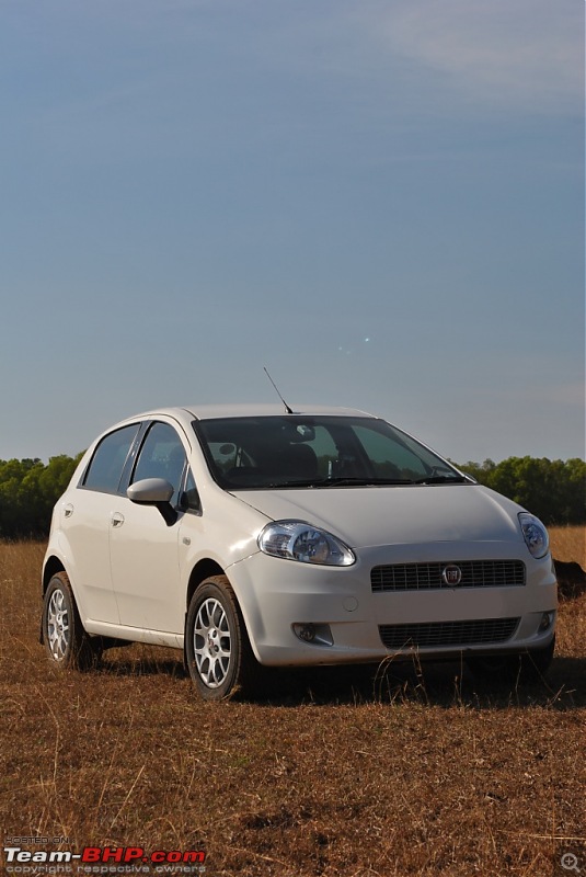 FIAT-Ferrari in affordable trim - My Grande Punto 1.2 Emotion-dsc_7377.jpg