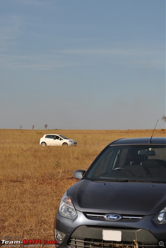 FIAT-Ferrari in affordable trim - My Grande Punto 1.2 Emotion-dsc_7393.jpg