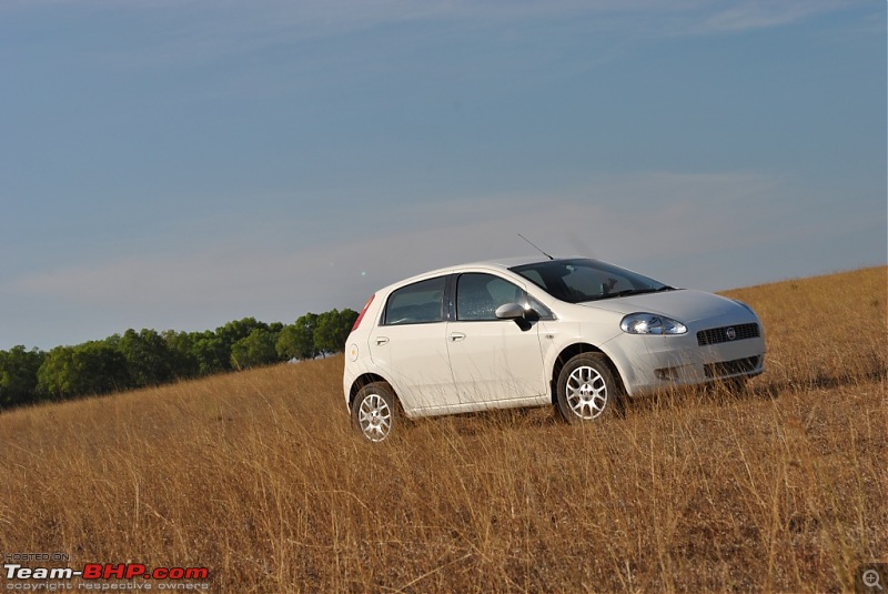 FIAT-Ferrari in affordable trim - My Grande Punto 1.2 Emotion-dsc_7394.jpg