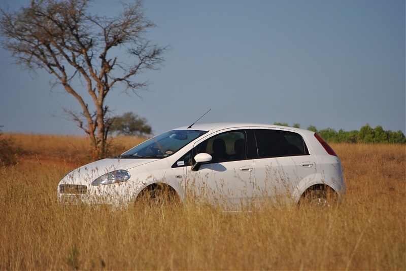 FIAT-Ferrari in affordable trim - My Grande Punto 1.2 Emotion-dsc_7406.jpg