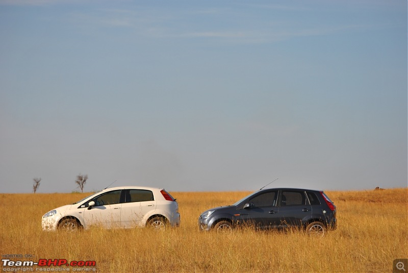 FIAT-Ferrari in affordable trim - My Grande Punto 1.2 Emotion-dsc_7417.jpg