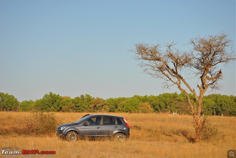 FIAT-Ferrari in affordable trim - My Grande Punto 1.2 Emotion-dsc_7429.jpg