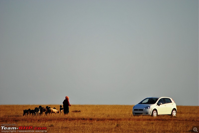 FIAT-Ferrari in affordable trim - My Grande Punto 1.2 Emotion-dsc_7439.jpg