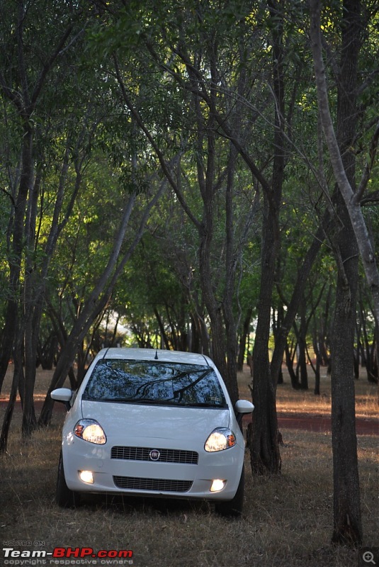 FIAT-Ferrari in affordable trim - My Grande Punto 1.2 Emotion-dsc_7453.jpg