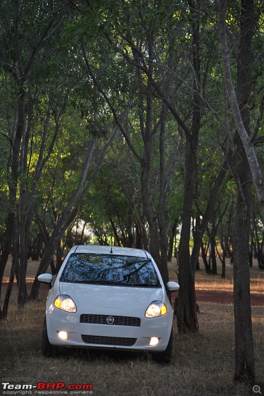 FIAT-Ferrari in affordable trim - My Grande Punto 1.2 Emotion-dsc_7454.jpg