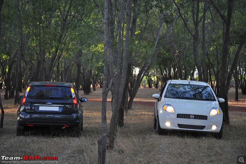 FIAT-Ferrari in affordable trim - My Grande Punto 1.2 Emotion-dsc_7456.jpg