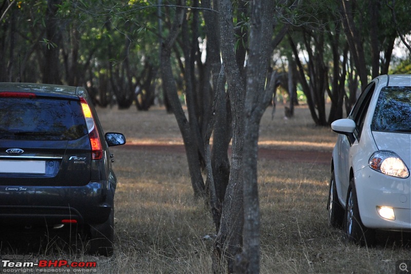 FIAT-Ferrari in affordable trim - My Grande Punto 1.2 Emotion-dsc_7457.jpg