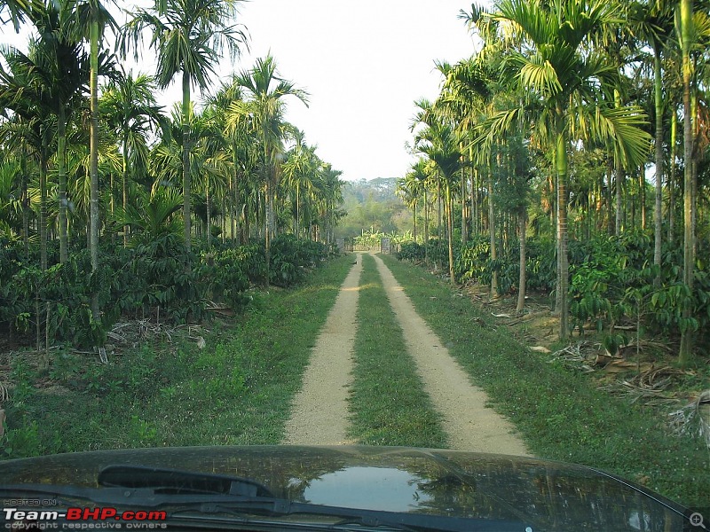 Tata Safari GX 4x2 Update : Sold at 72,000 KMs-img_1203.jpg