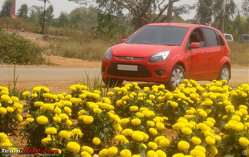 Ford Figo TDCi Titanium Nine months and 70,000 Kms of falling in Love-dsc06153.jpg