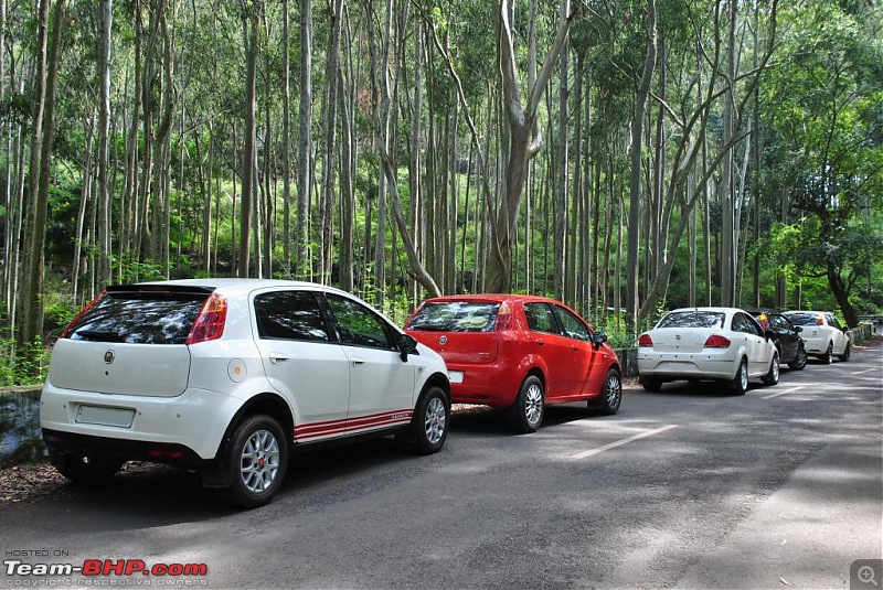 FIAT-Ferrari in affordable trim - My Grande Punto 1.2 Emotion-dsc_2764.jpg