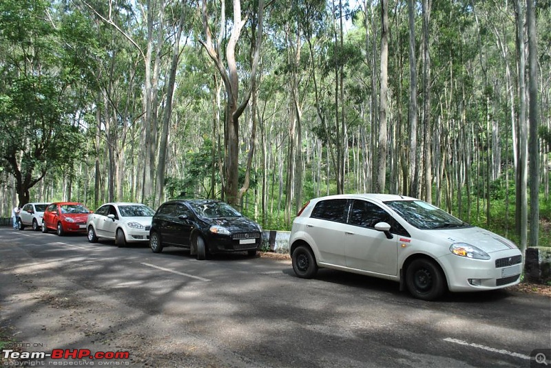 FIAT-Ferrari in affordable trim - My Grande Punto 1.2 Emotion-dsc_2768.jpg