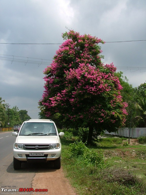 Tata Safari 2.2L at 1.5 lakh kms. Reclaiming continues without extended warranty UPDATE: Now Sold !-rdscf7244.jpg