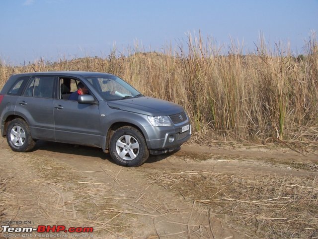 Suzuki Grand Vitara:  2,32,000 kms & 7 years ownership-wildcat3.jpg