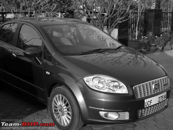 Crusoe Chronicles: Twelve years with a Fiat Linea TJet+-5.jpg