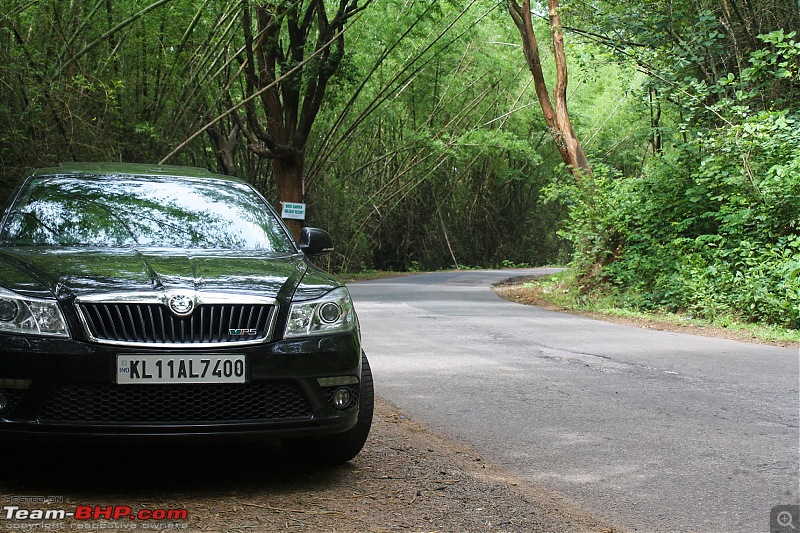 Black Panther - Skoda Laura vRS-edited1313.jpg