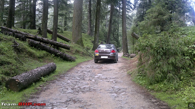 Crusoe Chronicles: Twelve years with a Fiat Linea TJet+-20120727127_1.jpg