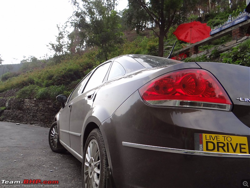 Crusoe Chronicles: Twelve years with a Fiat Linea TJet+-dsc00393_3.jpg