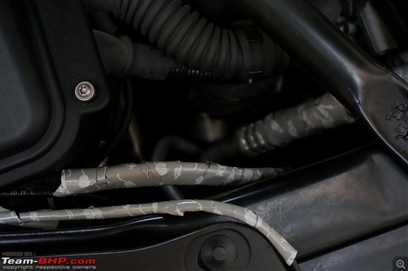Pics: Honda's Rat-Proof Tape! Protect your car from rodents-dsc08984.jpg