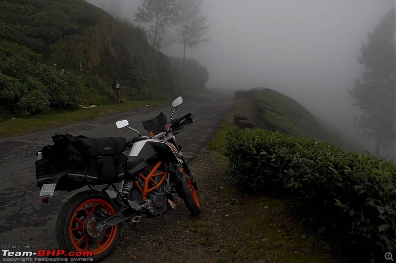 The KTM Duke 390 Ownership Experience Thread-dsc_0313.jpg