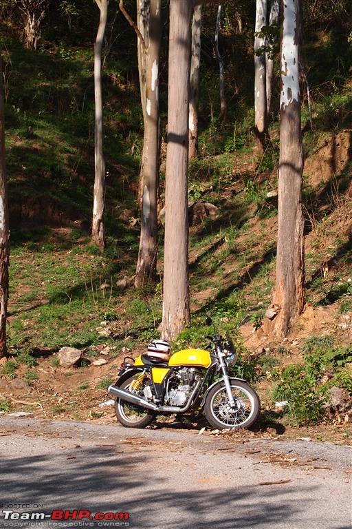 Royal Enfield Continental GT 535 : Ownership Review (32,000 km and 9 years)-p6077738-medium.jpg