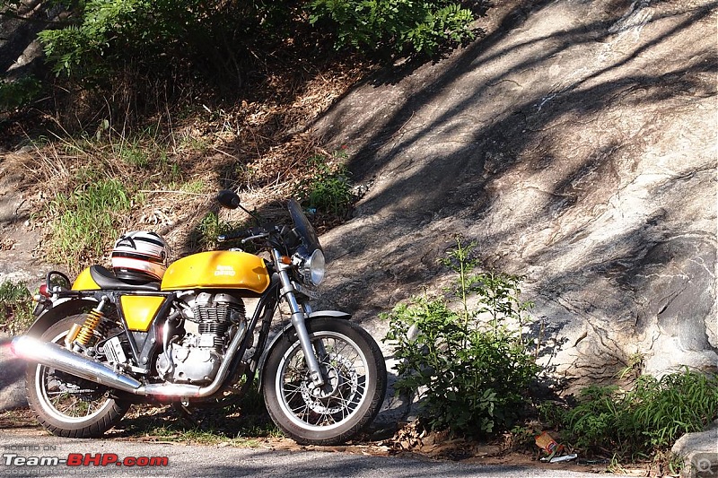 Royal Enfield Continental GT 535 : Ownership Review (32,000 km and 9 years)-p6077713-medium.jpg