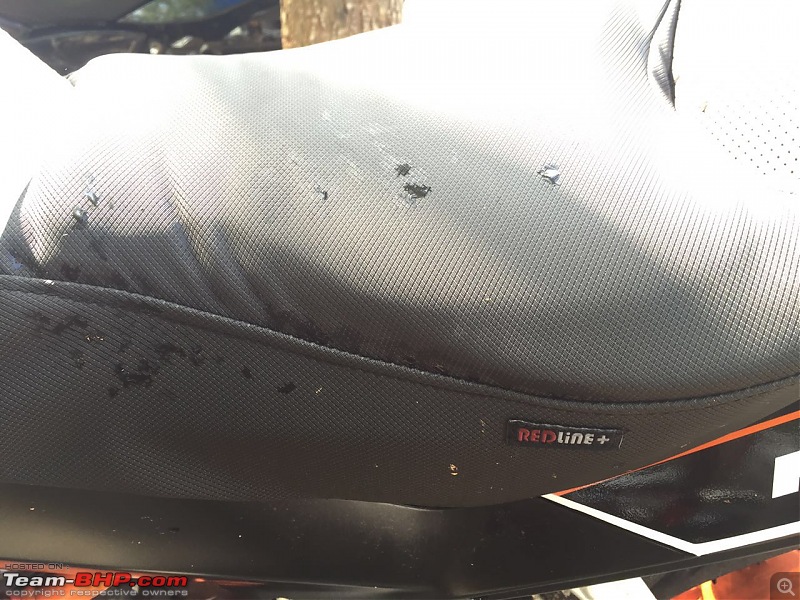 The KTM Duke 390 Ownership Experience Thread-image.jpeg